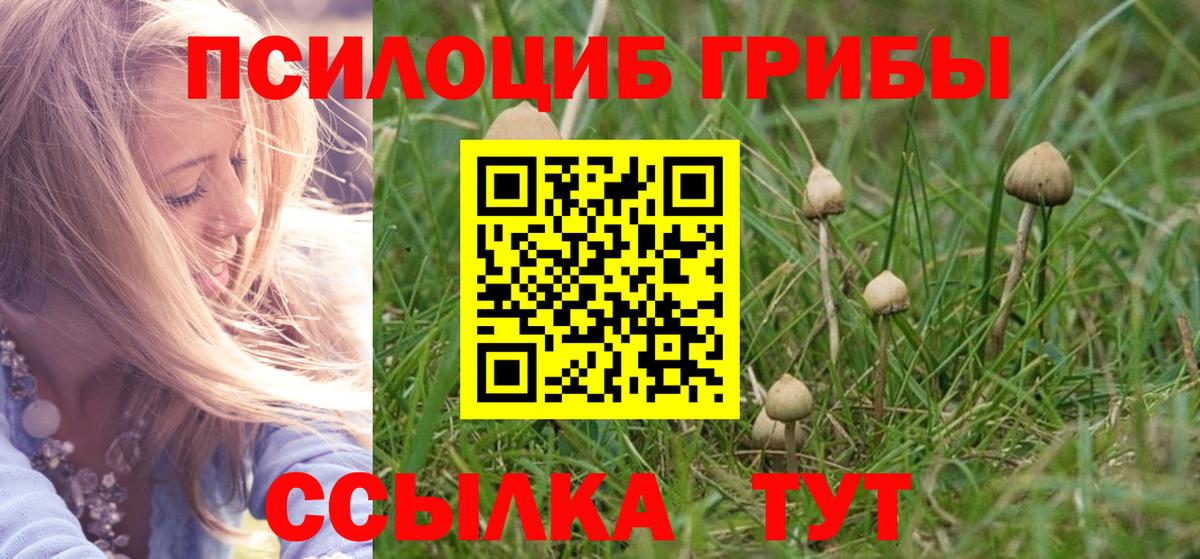 Аксай  Галлюциногенные грибы ЛСД  Галлюциногенные грибы Cubensis  Вход с VPN 