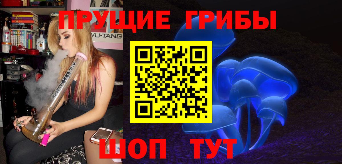 Псилоцибиновые грибы Cubensis Аксай